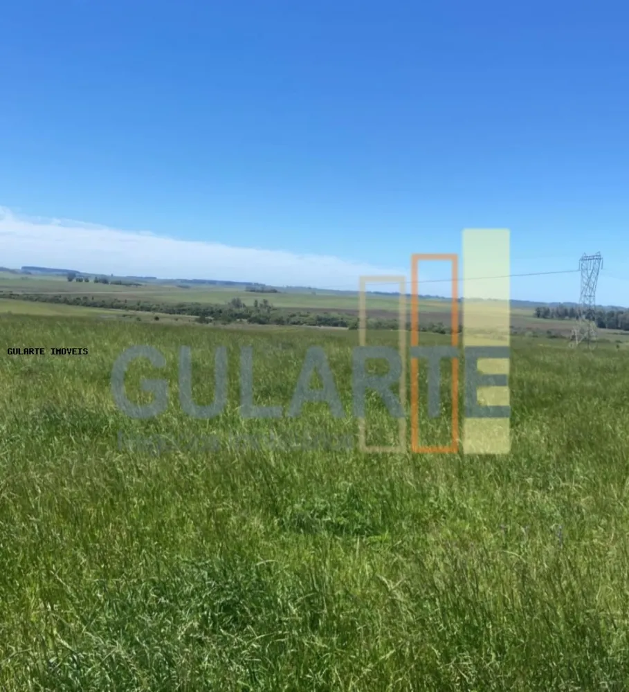 Fazenda, 930 hectares - Foto 7
