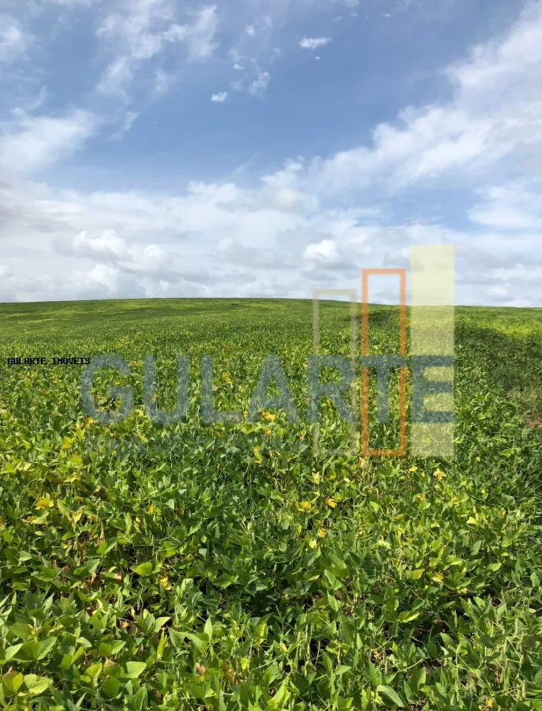 Fazenda, 930 hectares - Foto 1