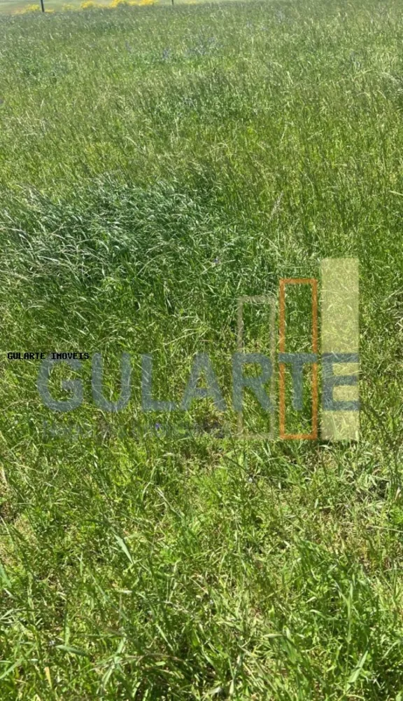 Fazenda, 930 hectares - Foto 8