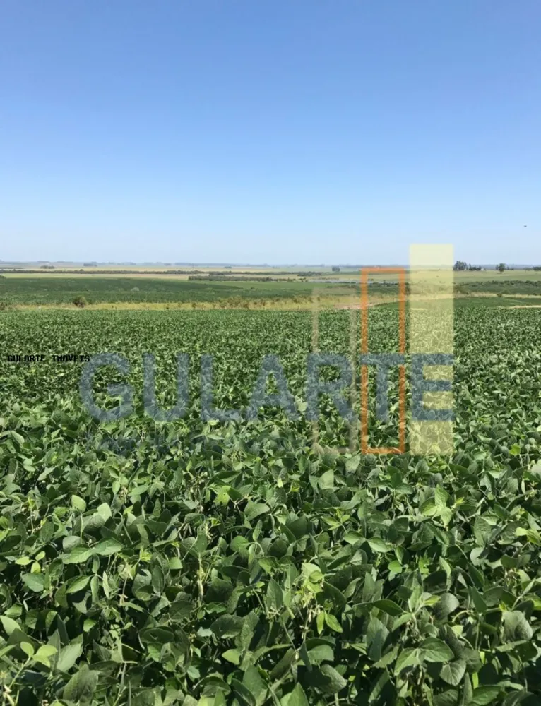 Fazenda, 930 hectares - Foto 3