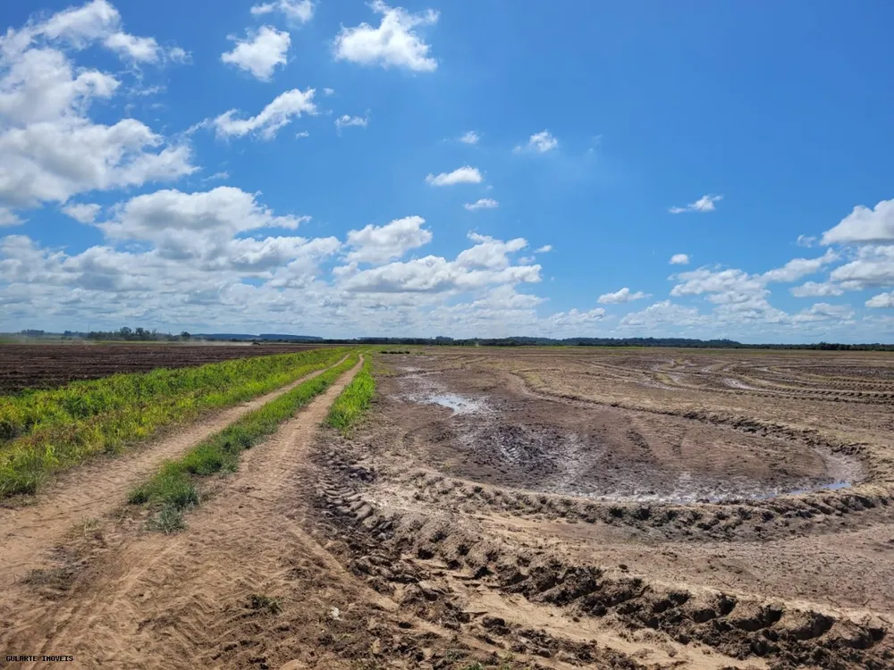 Fazenda, 317 hectares - Foto 4