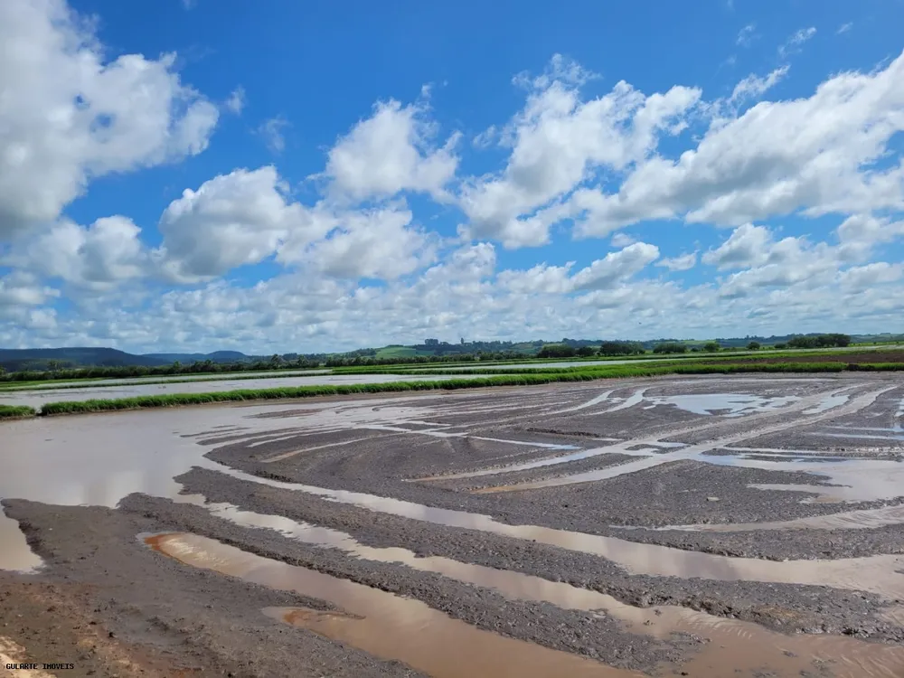 Fazenda, 317 hectares - Foto 6