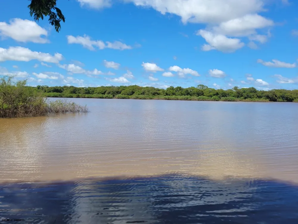 Fazenda, 317 hectares - Foto 11