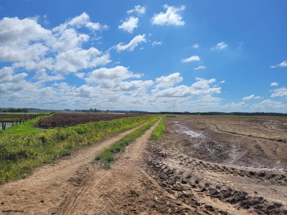 Fazenda, 317 hectares - Foto 5