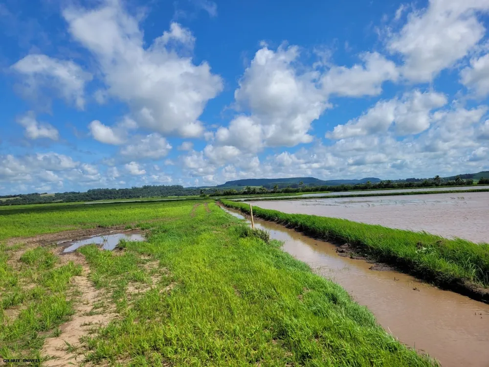 Fazenda, 317 hectares - Foto 9