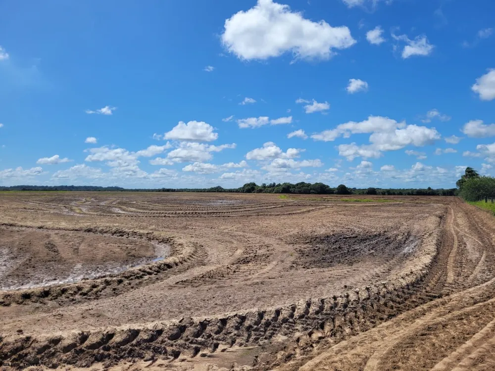 Fazenda, 317 hectares - Foto 2