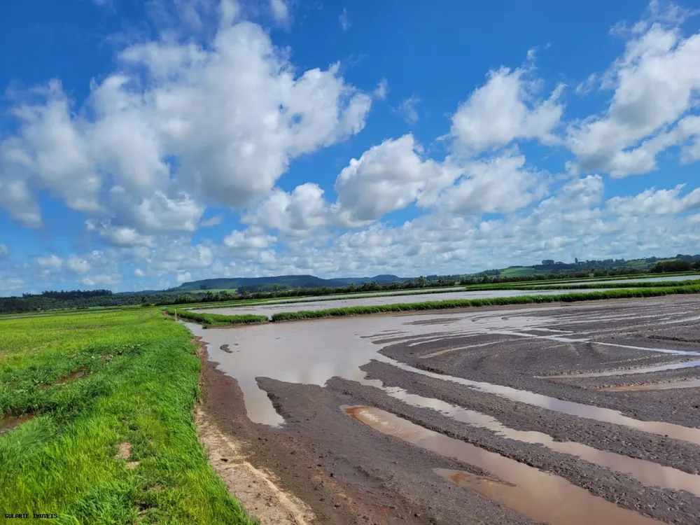 Fazenda, 317 hectares - Foto 7