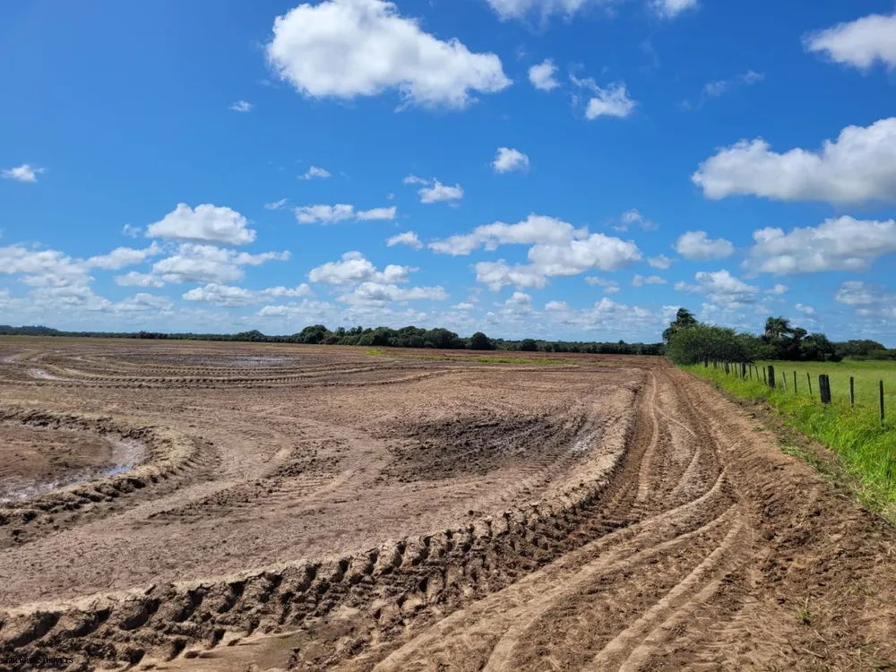 Fazenda, 317 hectares - Foto 1