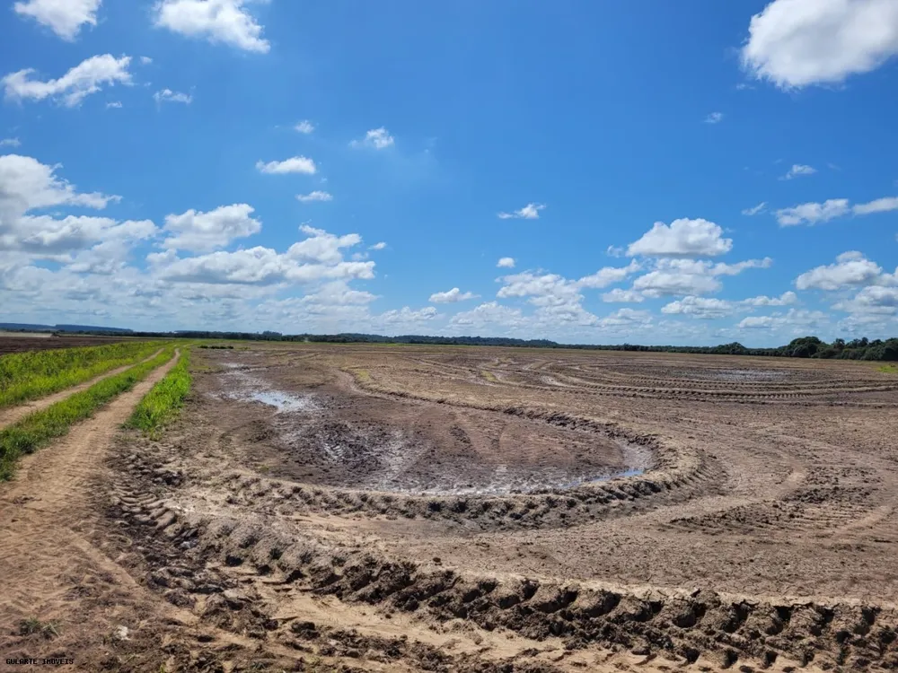 Fazenda, 317 hectares - Foto 3