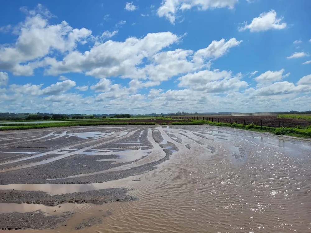 Fazenda, 317 hectares - Foto 7