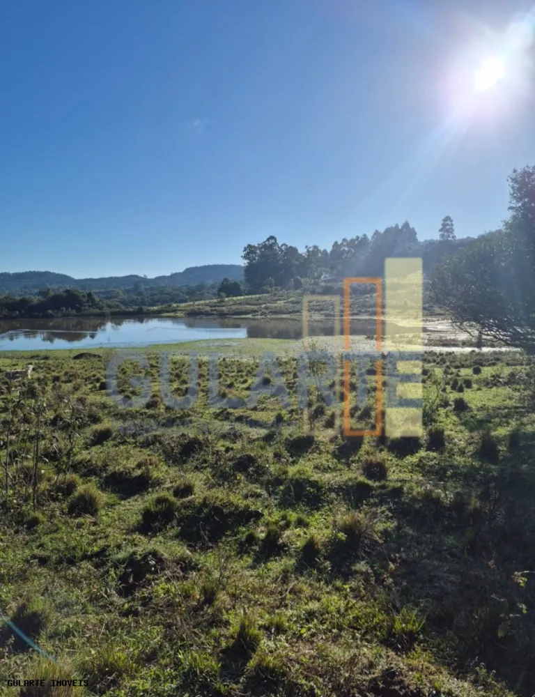 Fazenda, 58 hectares - Foto 7