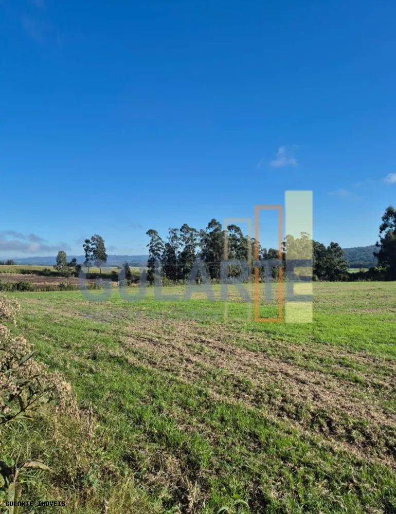 Fazenda, 58 hectares - Foto 4