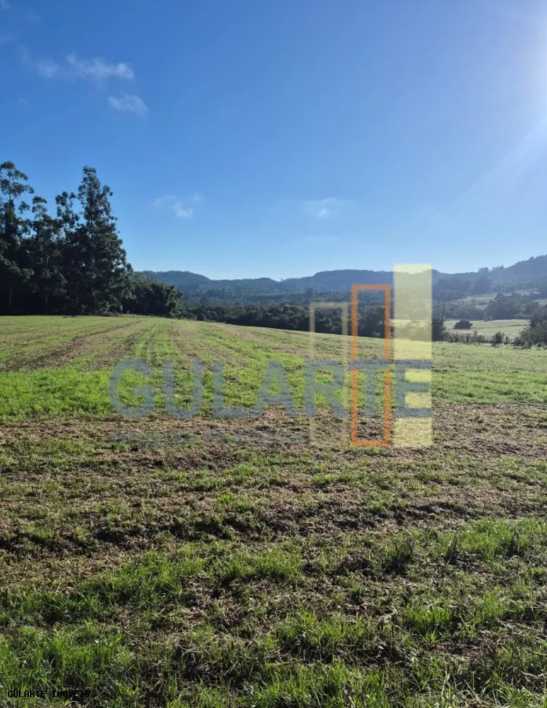 Fazenda, 58 hectares - Foto 2
