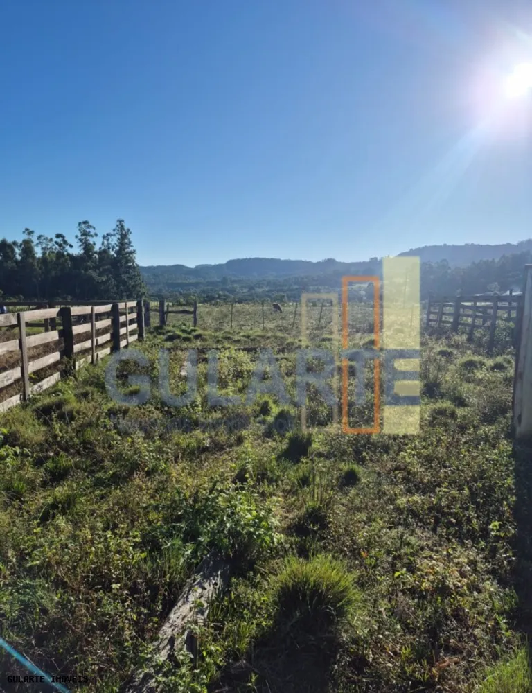Fazenda, 58 hectares - Foto 8