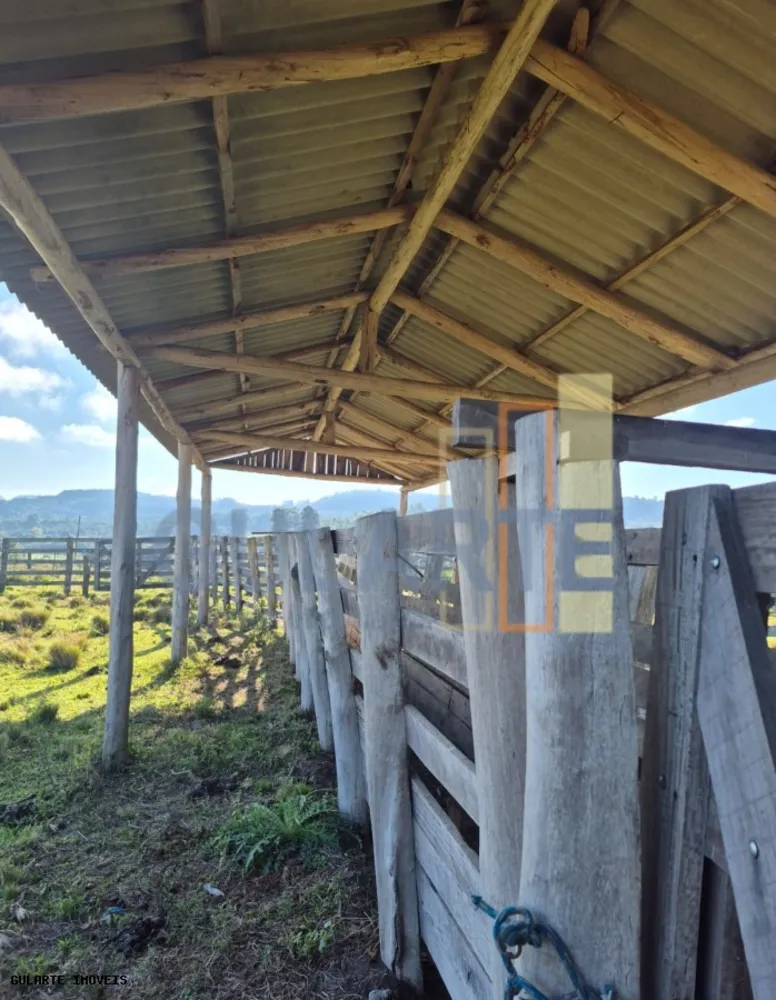 Fazenda, 58 hectares - Foto 11