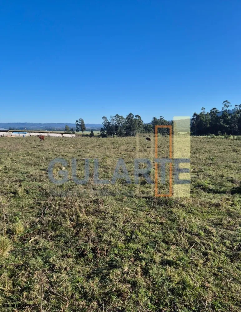 Fazenda, 58 hectares - Foto 8