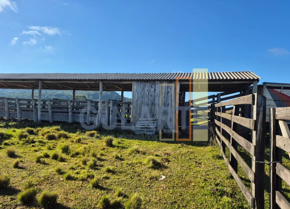 Fazenda, 58 hectares - Foto 6