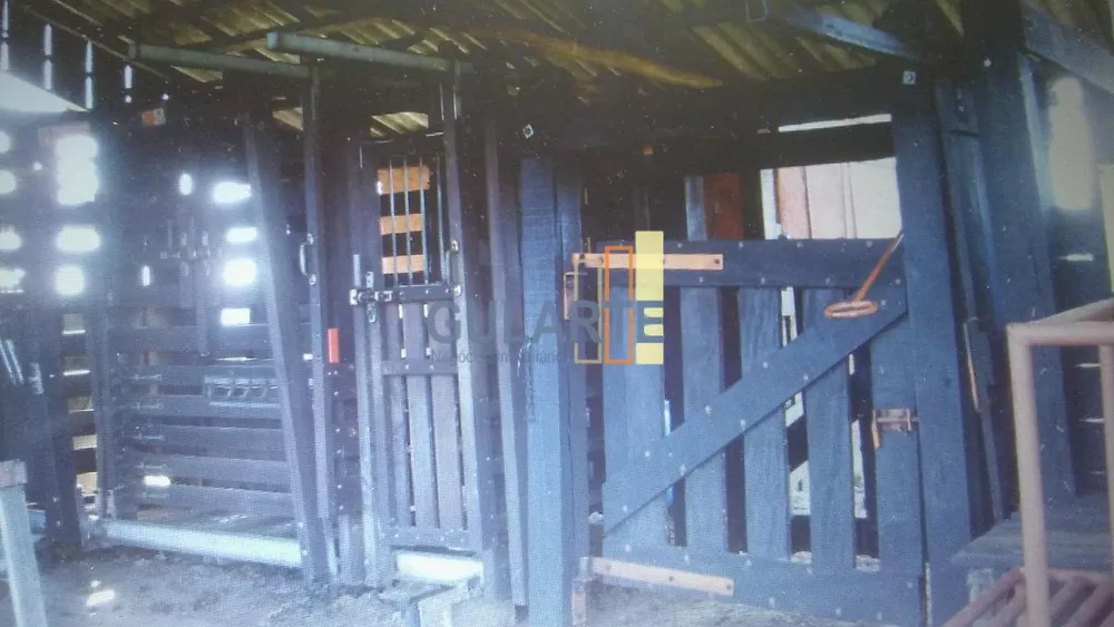 Fazenda, 1450 hectares - Foto 6