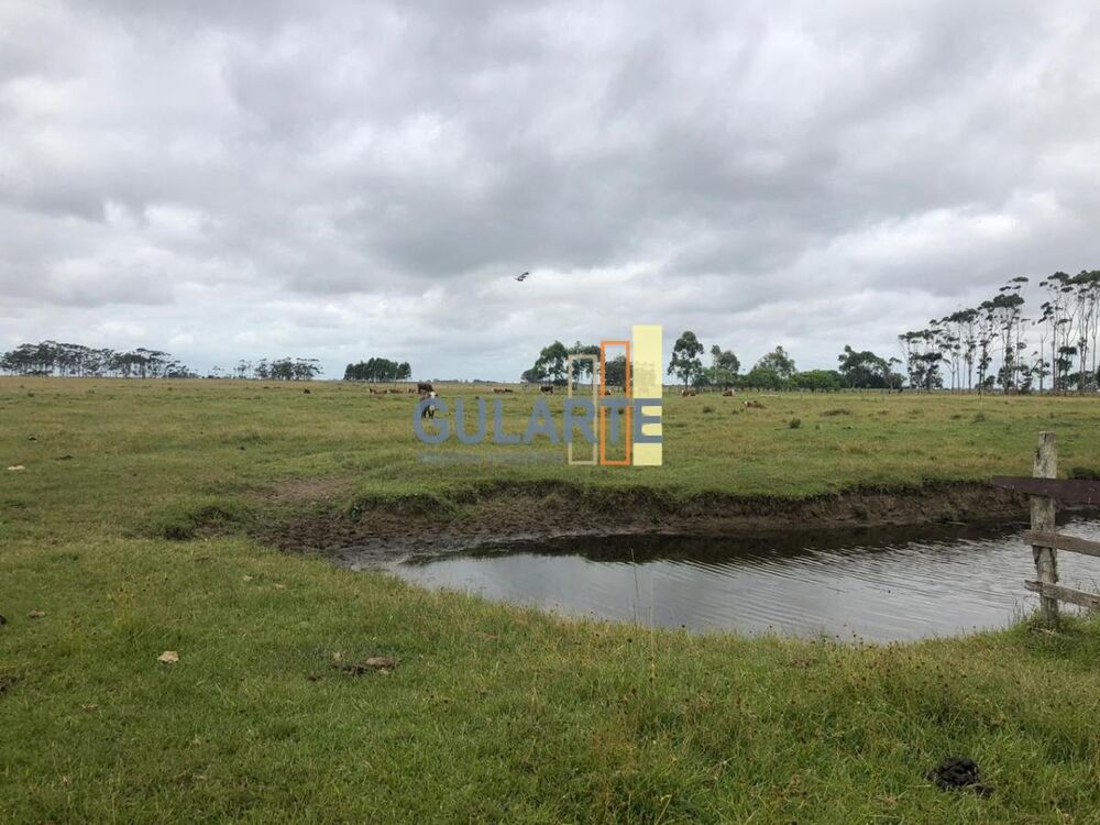 Fazenda, 1450 hectares - Foto 4