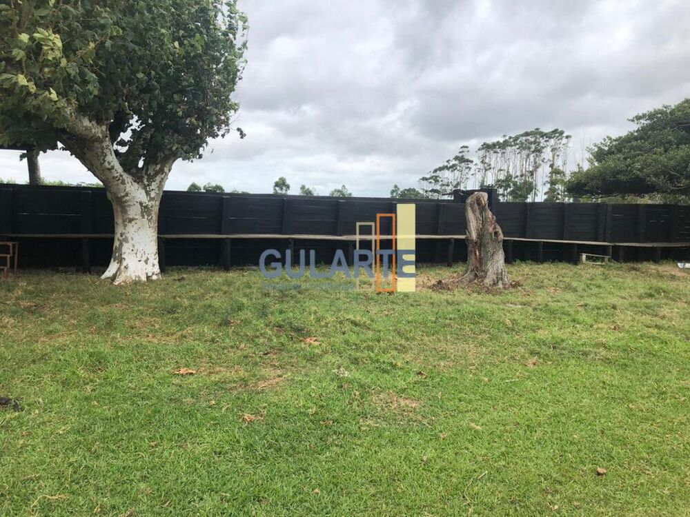 Fazenda, 1450 hectares - Foto 5