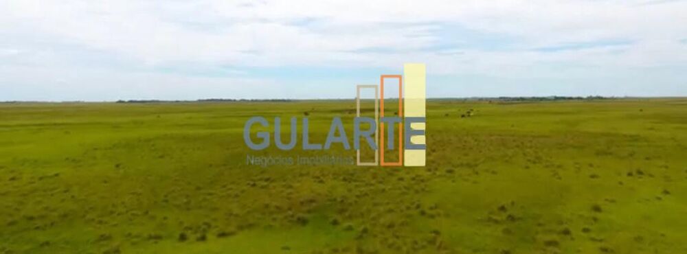 Fazenda, 1450 hectares - Foto 7