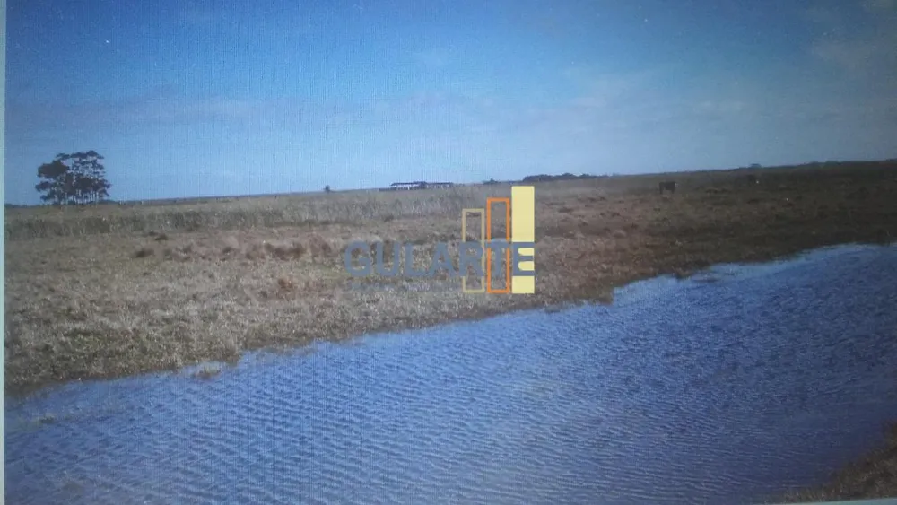 Fazenda, 1450 hectares - Foto 8