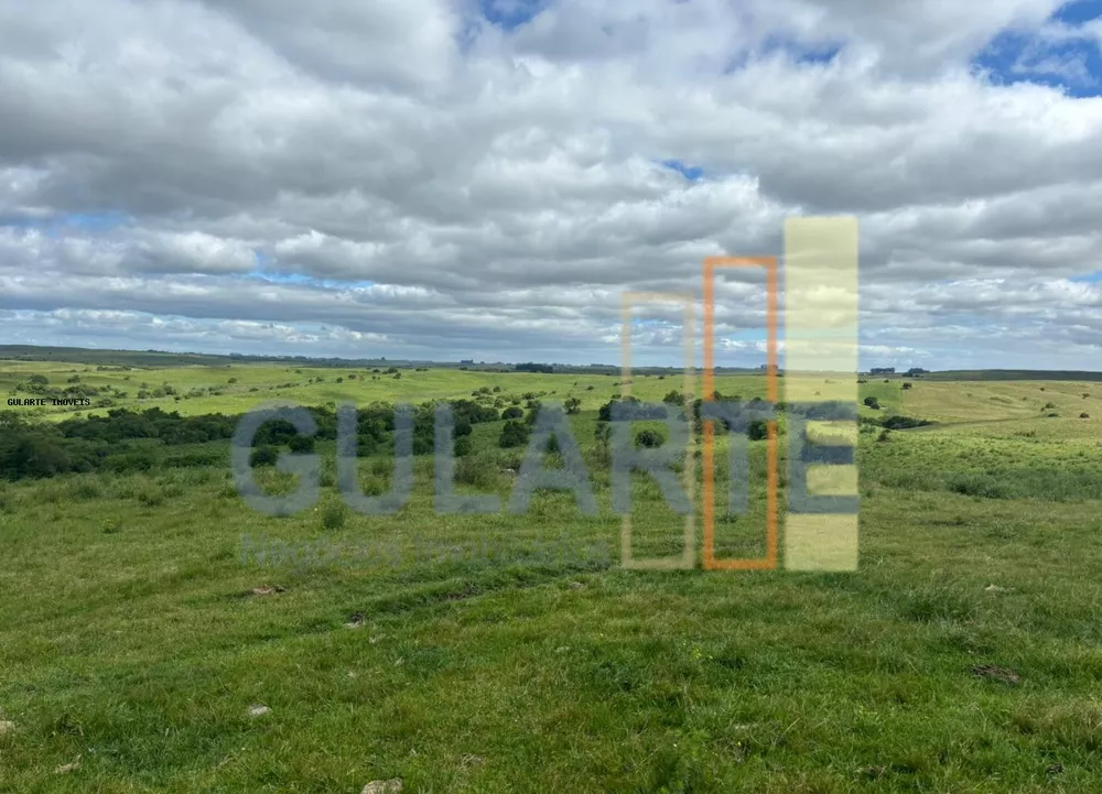 Fazenda, 950 hectares - Foto 3