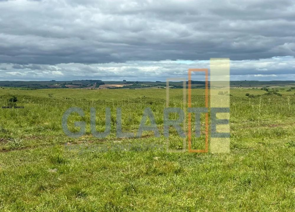 Fazenda, 950 hectares - Foto 2