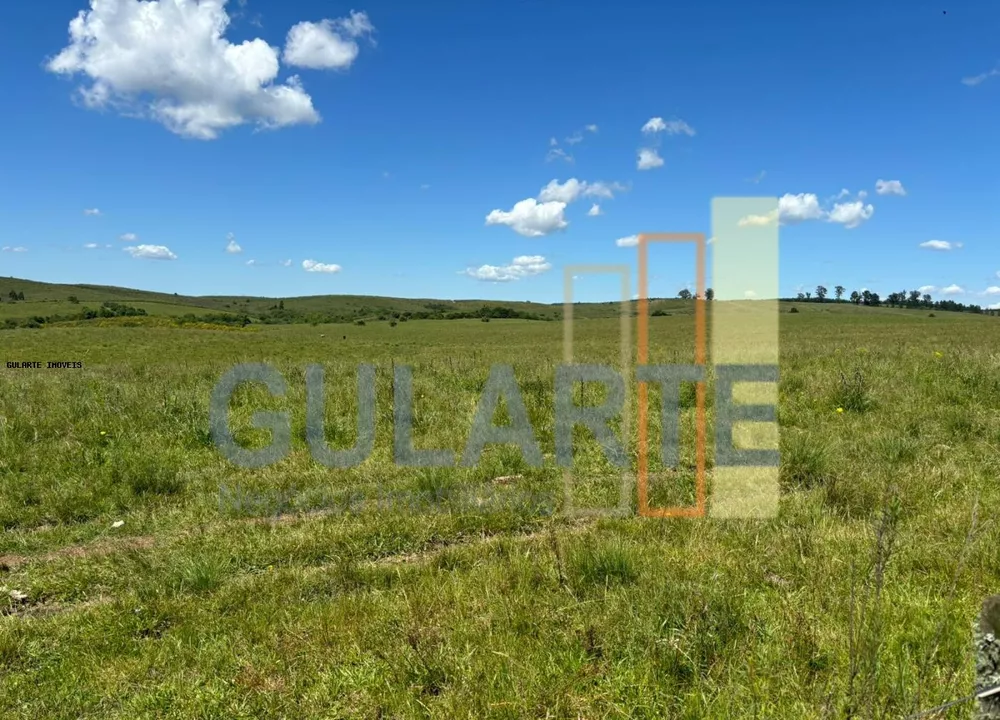 Fazenda, 950 hectares - Foto 8