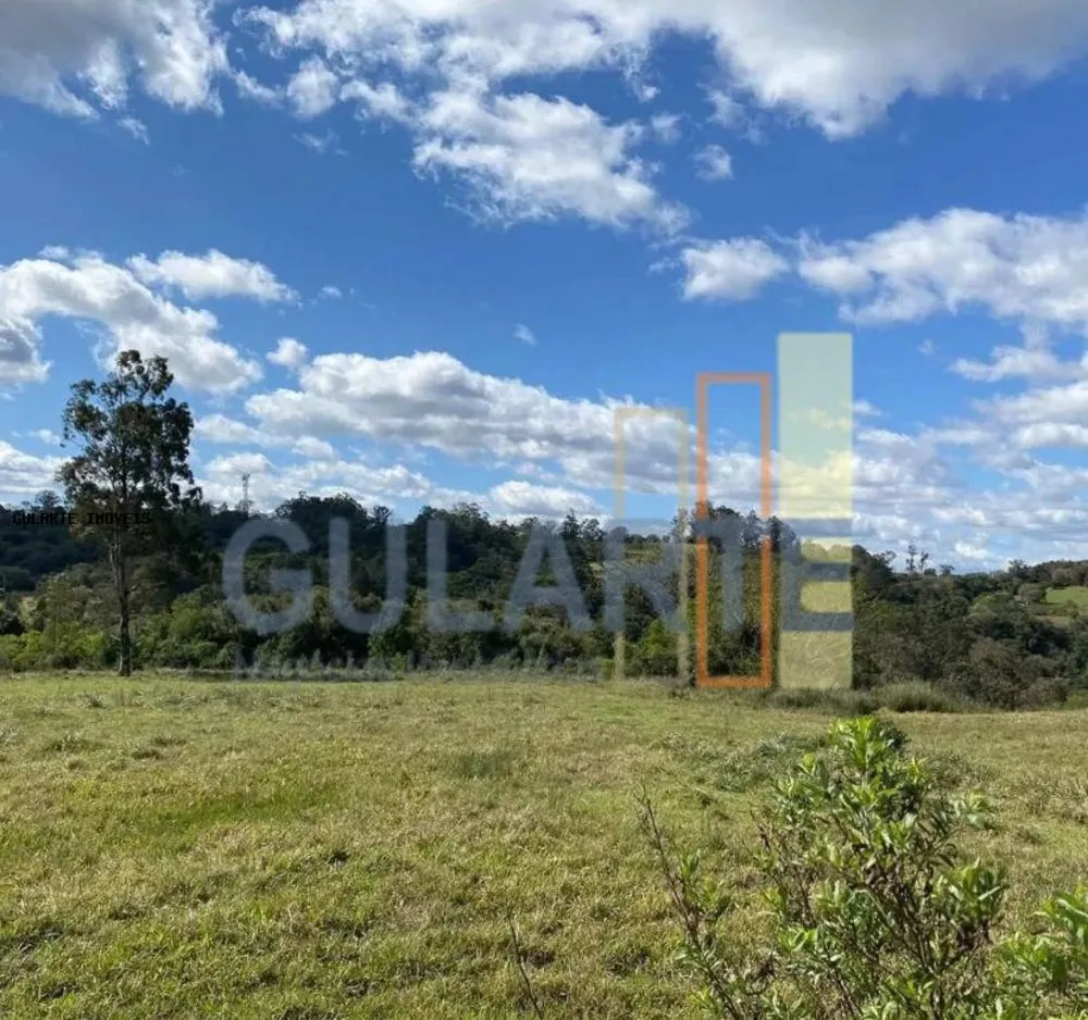 Fazenda, 60 hectares - Foto 2