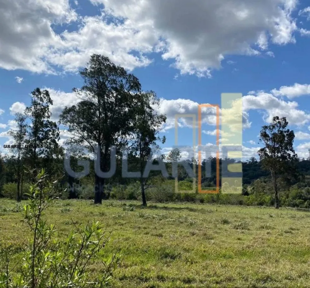 Fazenda, 60 hectares - Foto 6