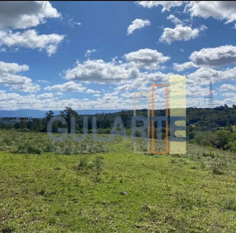 Fazenda, 60 hectares - Foto 1