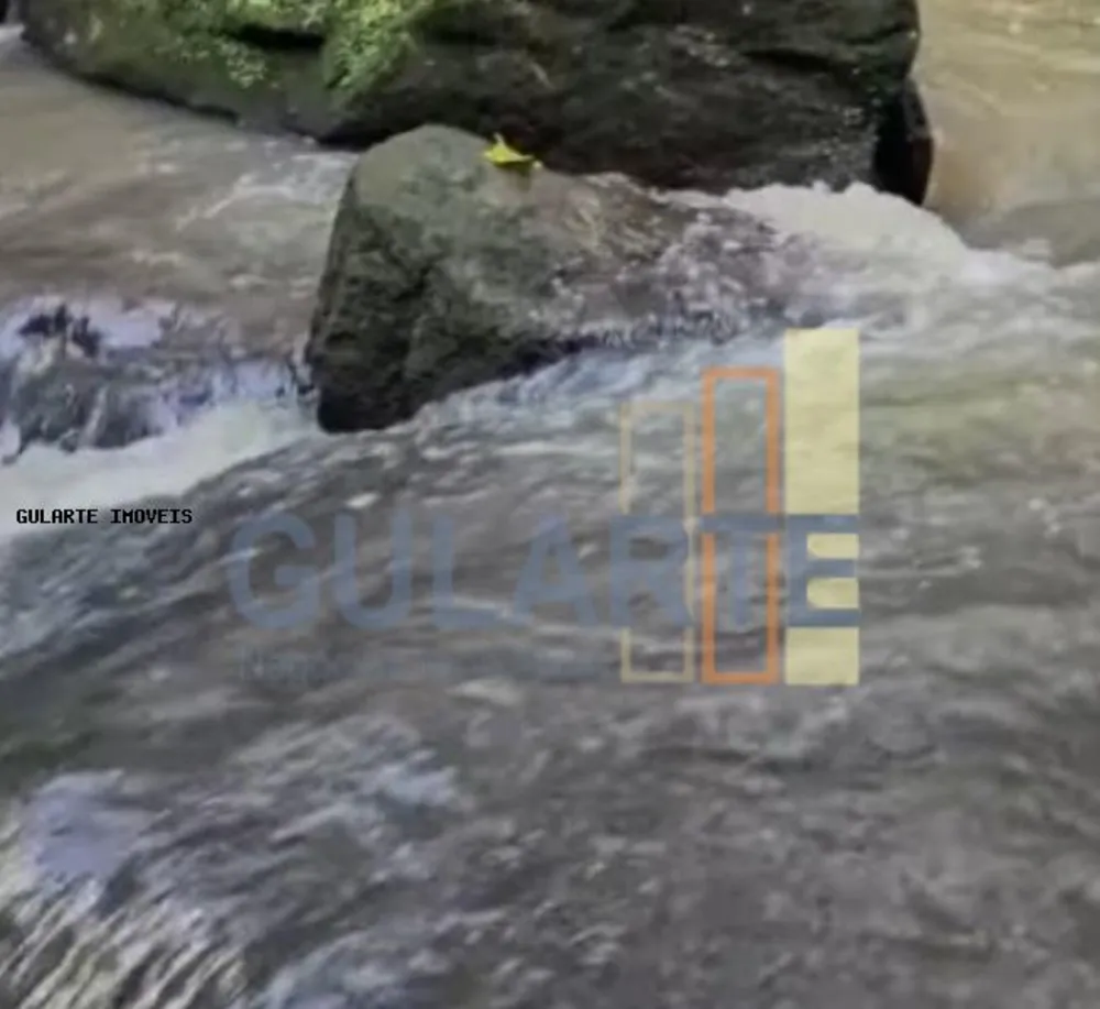 Fazenda, 60 hectares - Foto 8