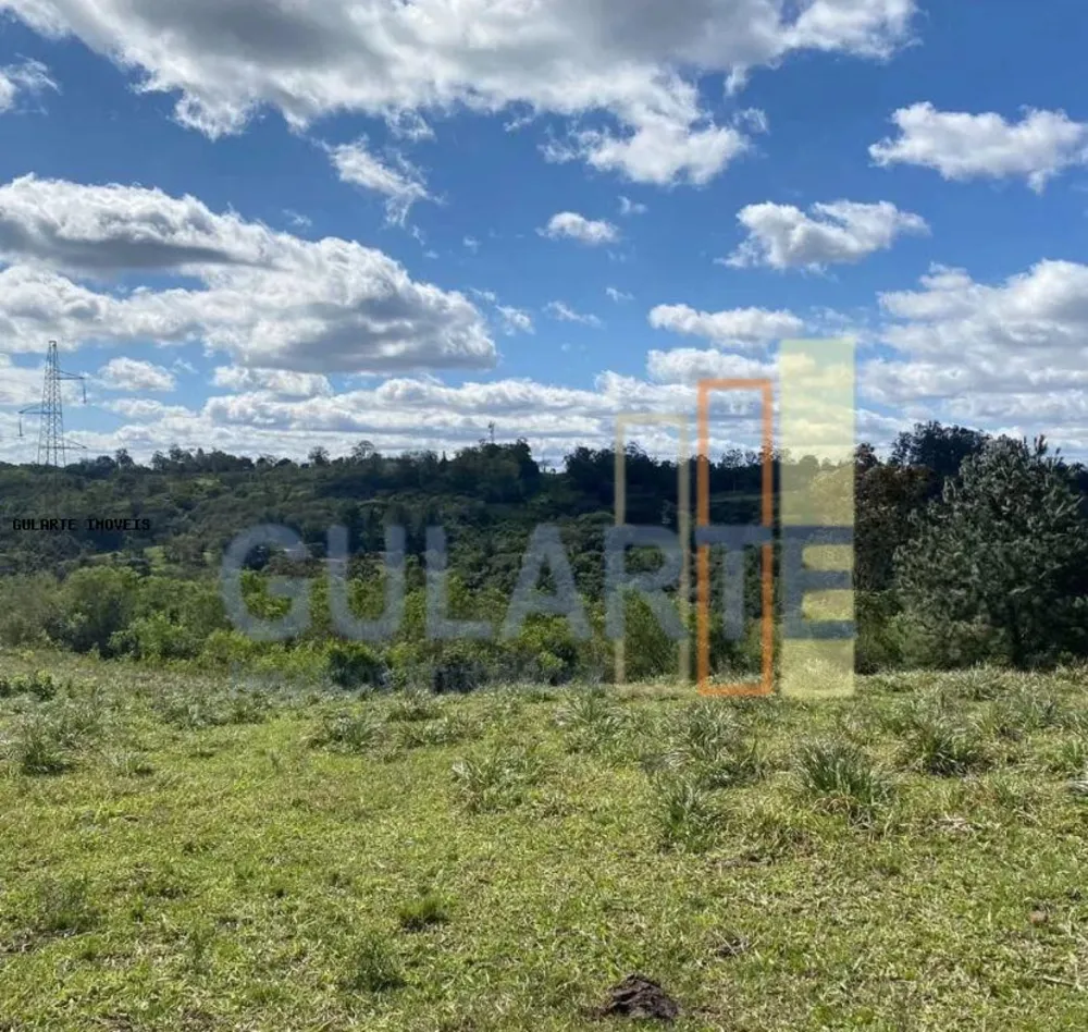 Fazenda, 60 hectares - Foto 3