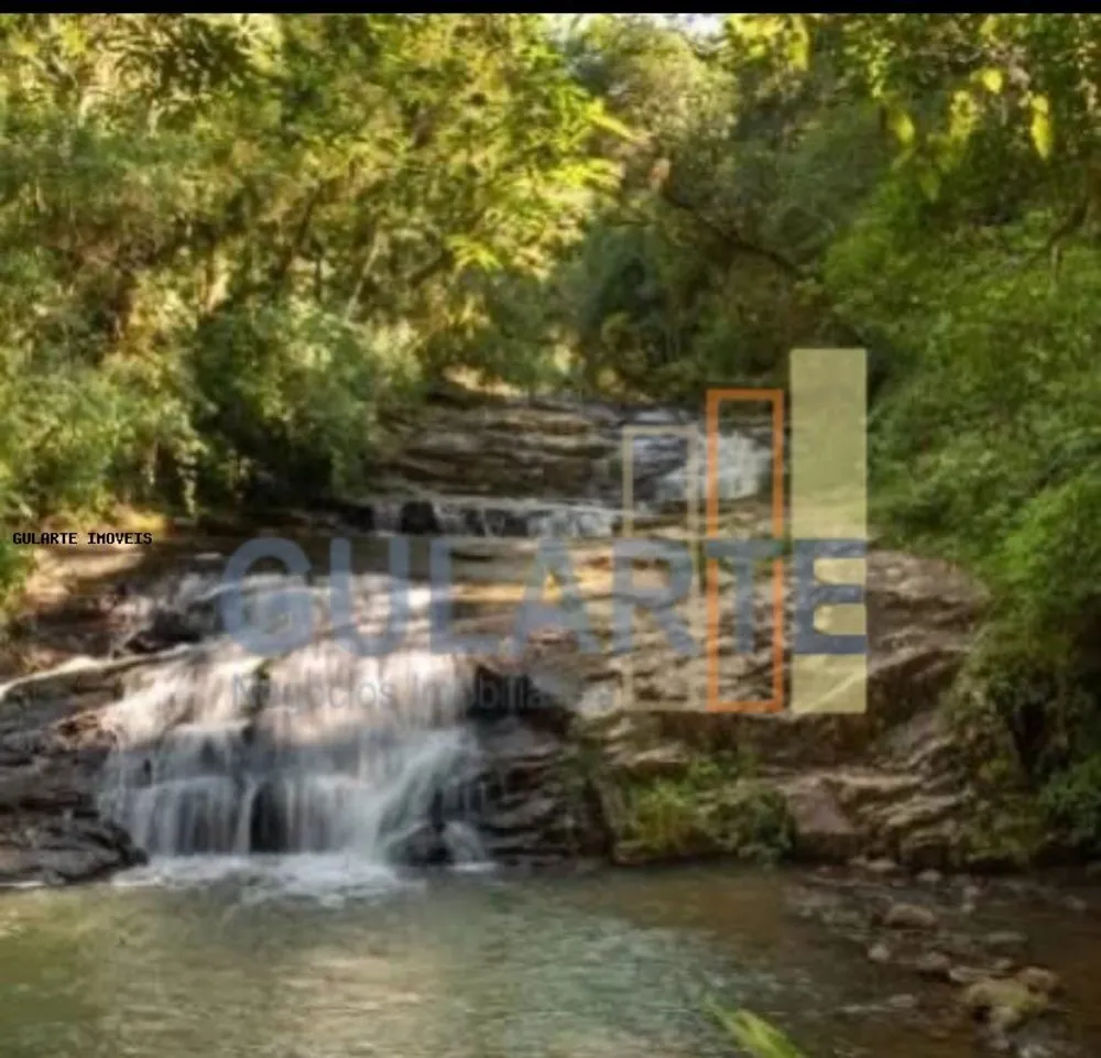 Fazenda, 60 hectares - Foto 4