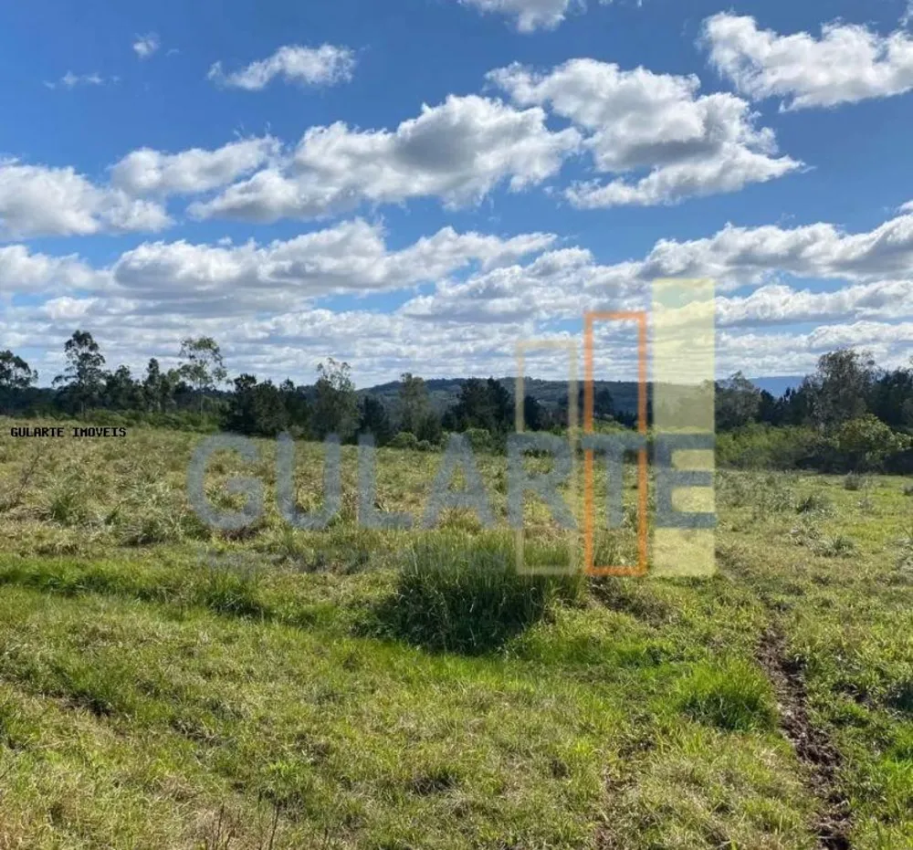 Fazenda, 60 hectares - Foto 7