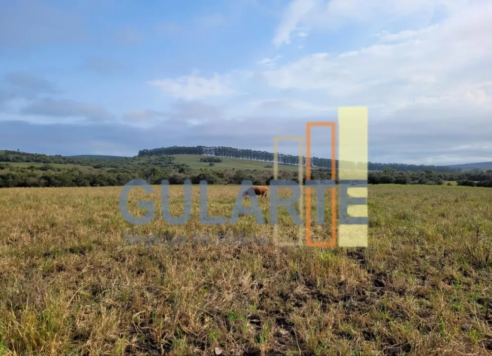 Fazenda, 511 hectares - Foto 3