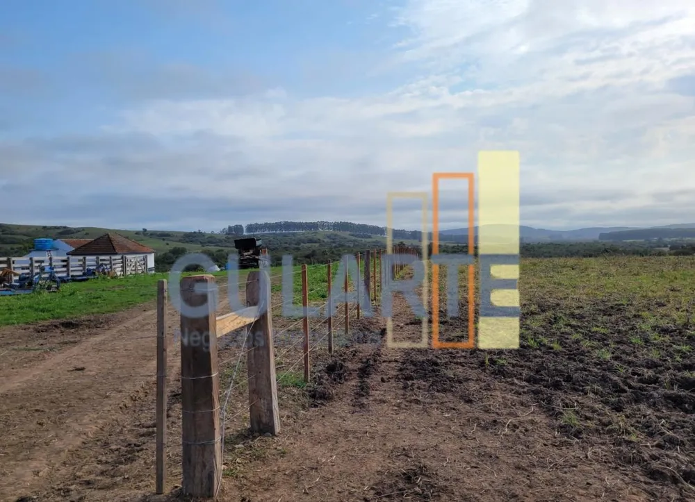 Fazenda, 511 hectares - Foto 11