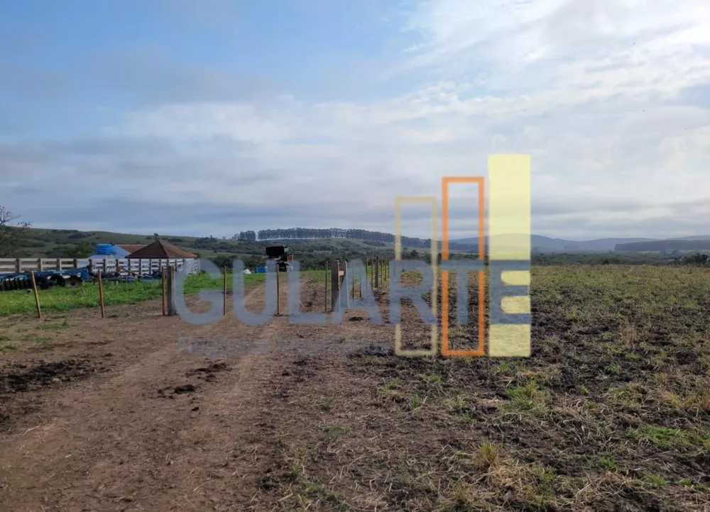 Fazenda, 511 hectares - Foto 7