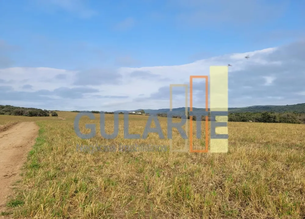 Fazenda, 511 hectares - Foto 4