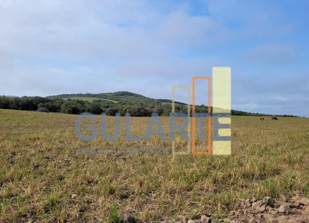 Fazenda, 511 hectares - Foto 6
