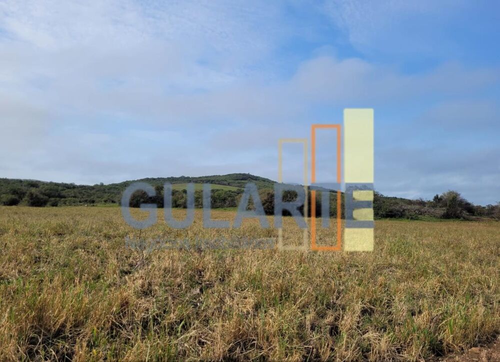 Fazenda à venda, 5110000m² - Foto 4