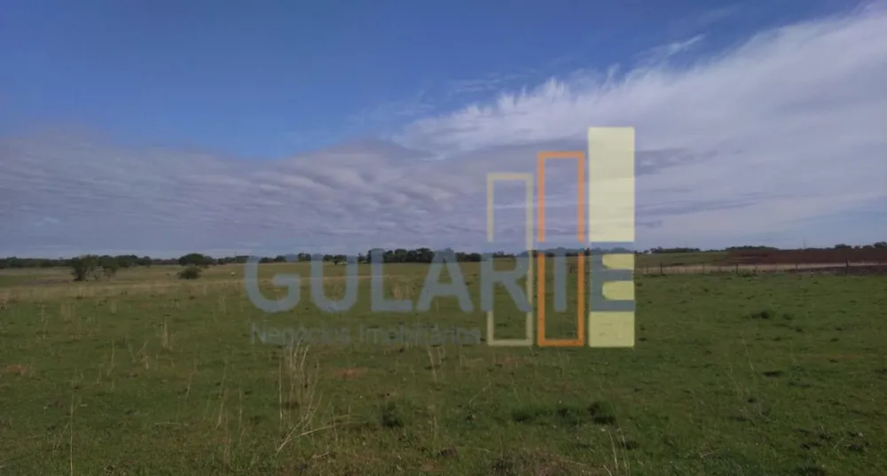 Fazenda, 611 hectares - Foto 7