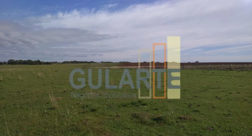 Fazenda, 611 hectares - Foto 8