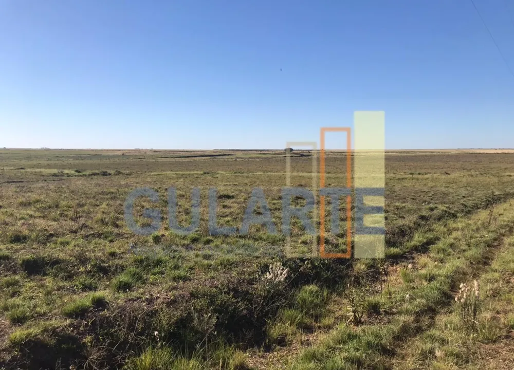 Fazenda, 611 hectares - Foto 3