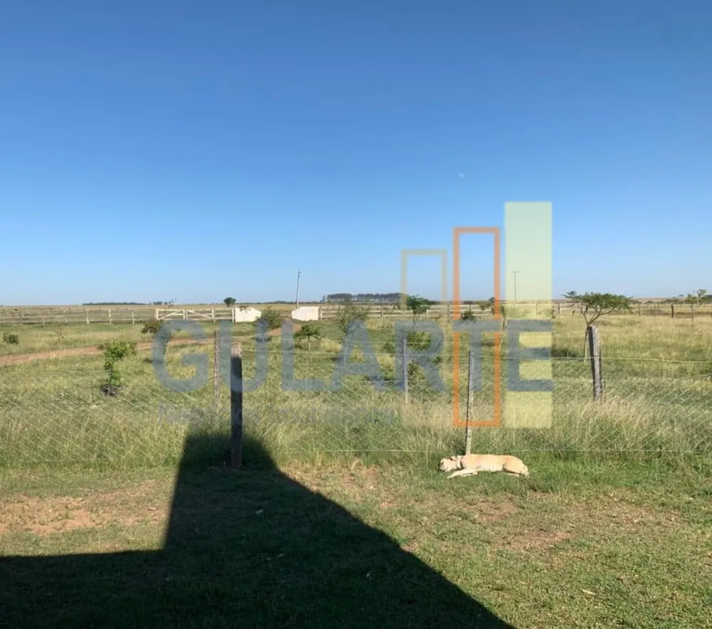 Fazenda, 611 hectares - Foto 4