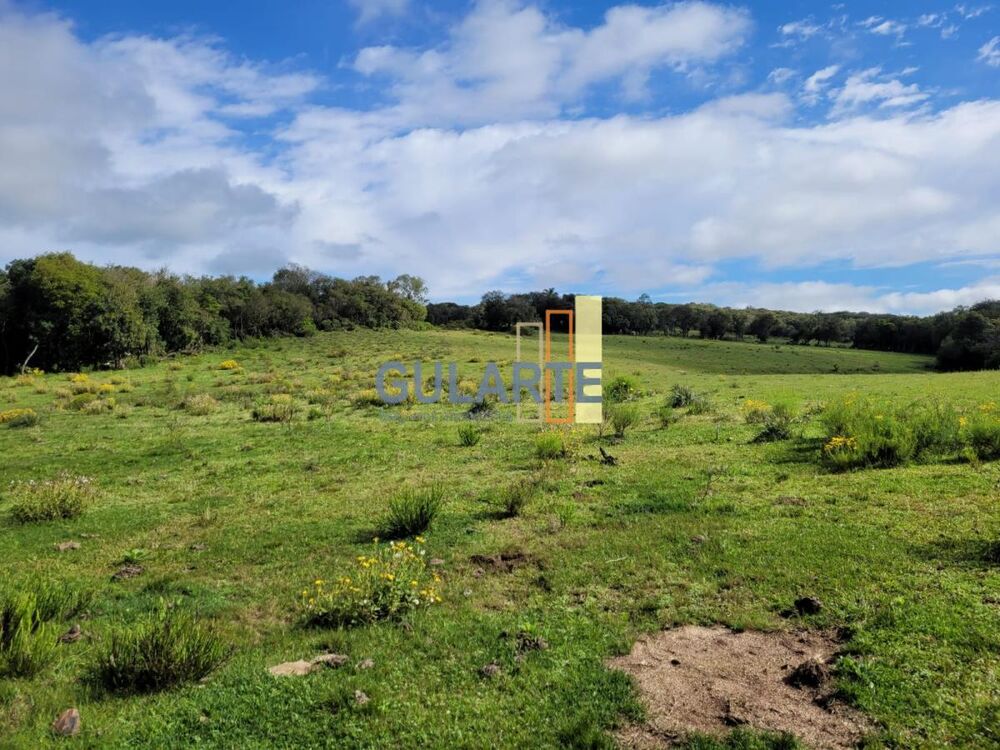 Fazenda à venda, 1600000m² - Foto 8