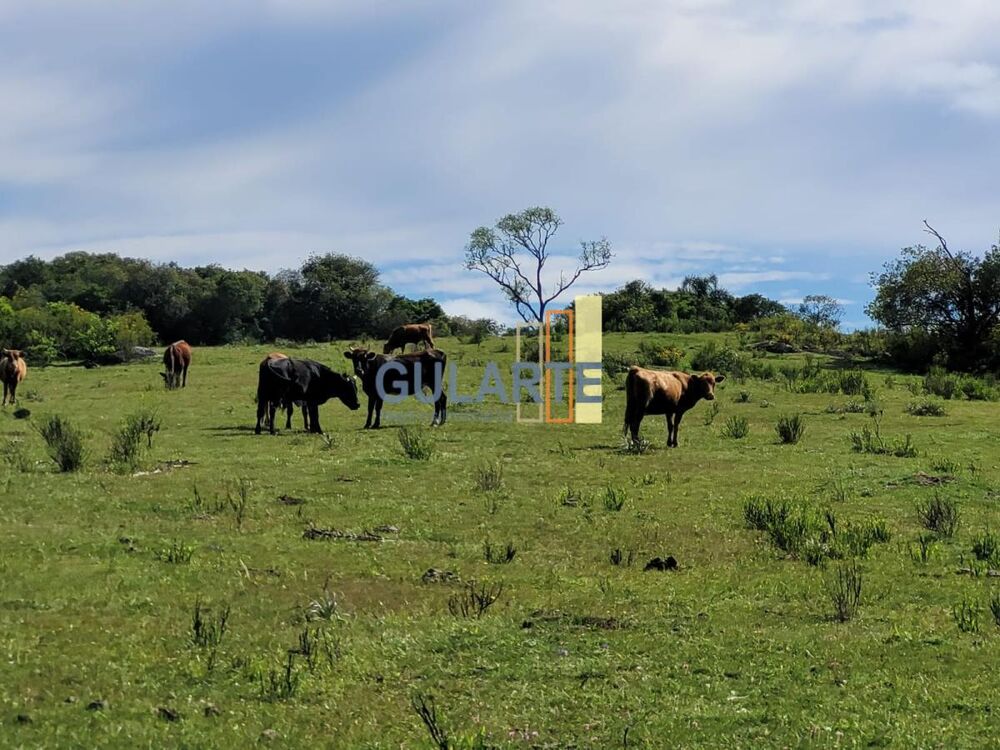 Fazenda à venda, 1600000m² - Foto 4