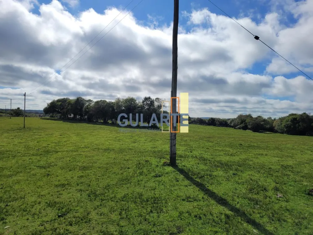 Fazenda, 160 hectares - Foto 20