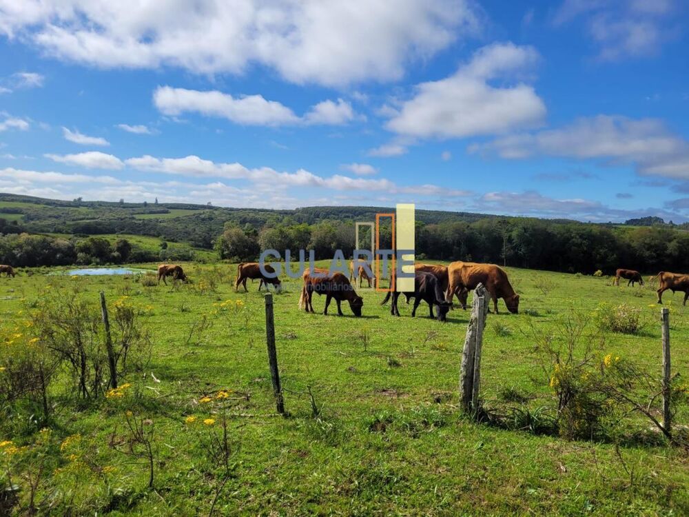 Fazenda à venda, 1600000m² - Foto 3